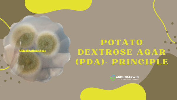 Potato Dextrose Agar (PDA)- Principle
