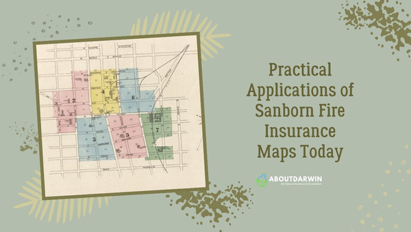 Practical Applications of Sanborn Fire Insurance Maps Today