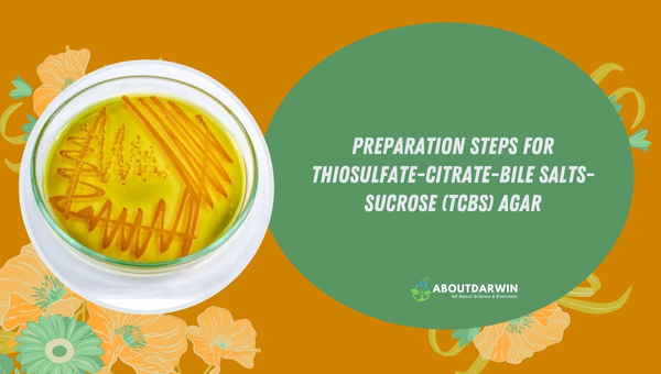 Preparation Steps for Thiosulfate-Citrate-Bile Salts-Sucrose (TCBS) Agar