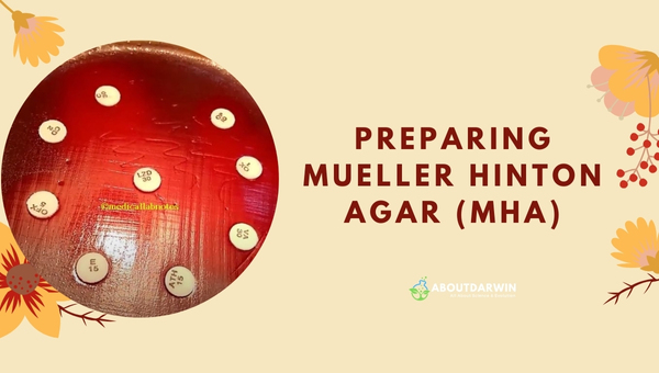 Preparing Mueller Hinton Agar (MHA)