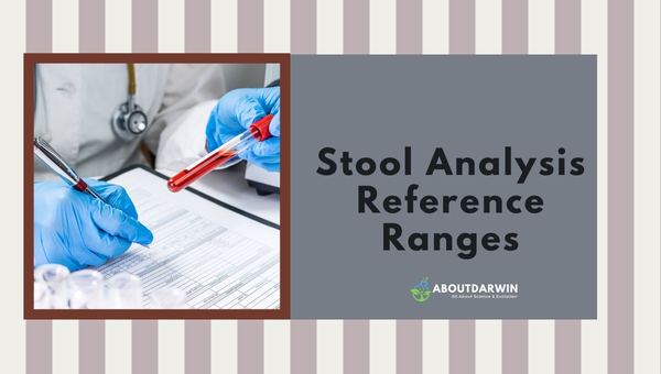 Stool Analysis Reference Ranges: Normal Laboratory Values