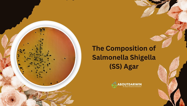The Composition of Salmonella Shigella (SS) Agar