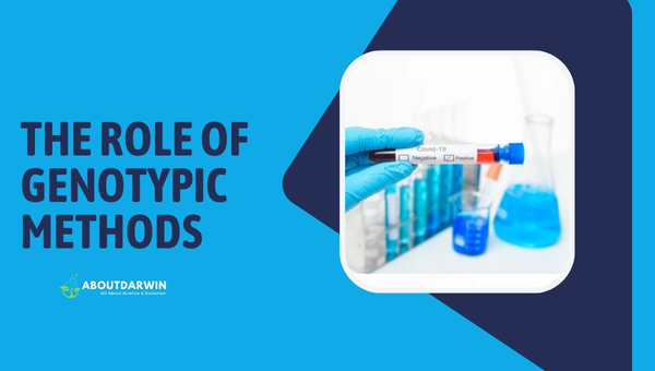 The Role of Genotypic Methods