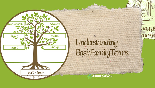 Understanding Basic Family Terms