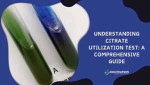 Understanding Citrate Utilization Test: A Comprehensive Guide