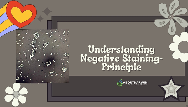 Understanding Negative Staining- Principle