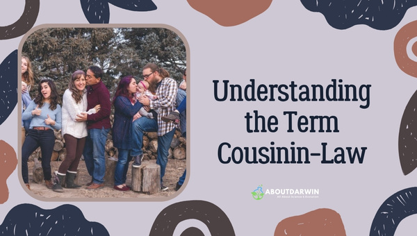 Understanding the Term "Cousin-in-Law"