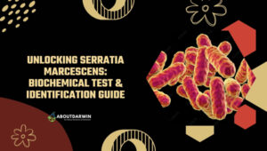 Serratia Marcescens: Biochemical Test & Identification