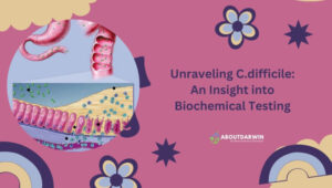 Unraveling C.difficile: An Insight into Biochemical Testing