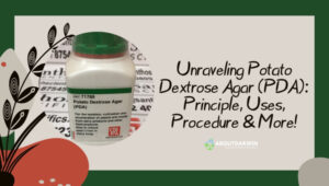 Unraveling Potato Dextrose Agar (PDA)
