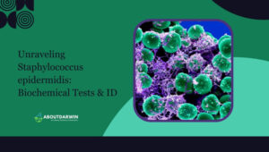 Unraveling Staphylococcus epidermidis: Biochemical Tests & ID