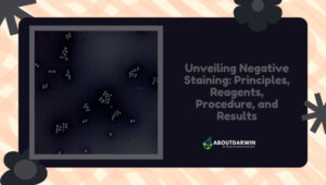 Unveiling Negative Staining
