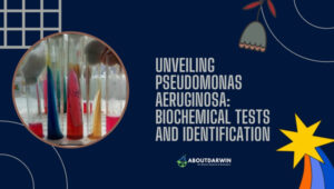 Stay Informed About Pseudomonas aeruginosa and Its Dangers