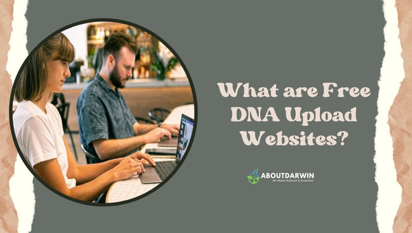 What are Free DNA Upload Websites?