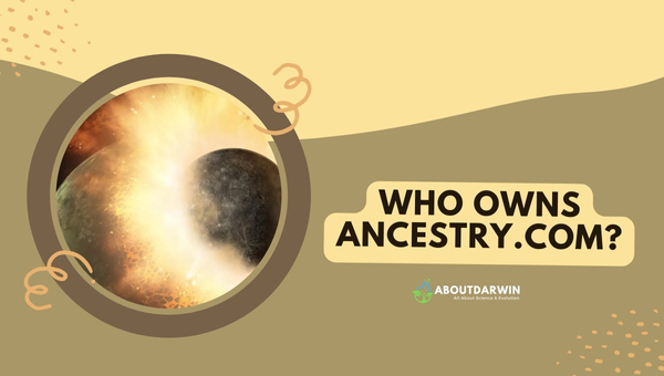 Who Owns Ancestry.com?