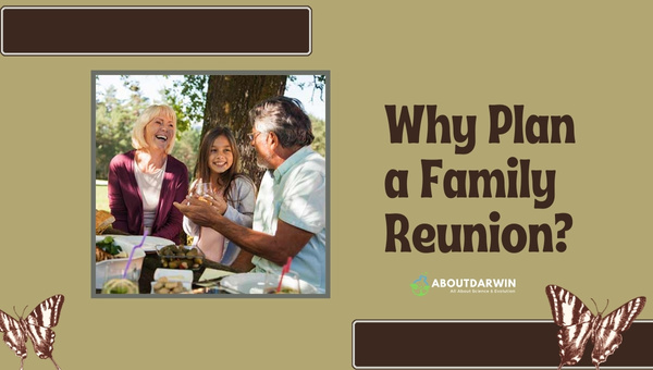 Why Plan a Family Reunion?