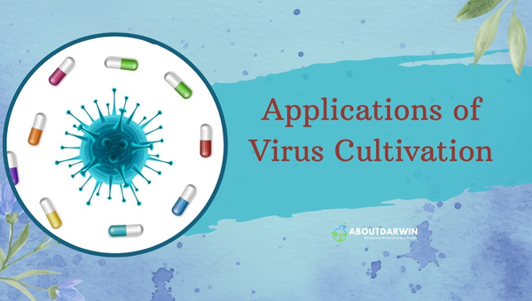 Applications of Virus Cultivation