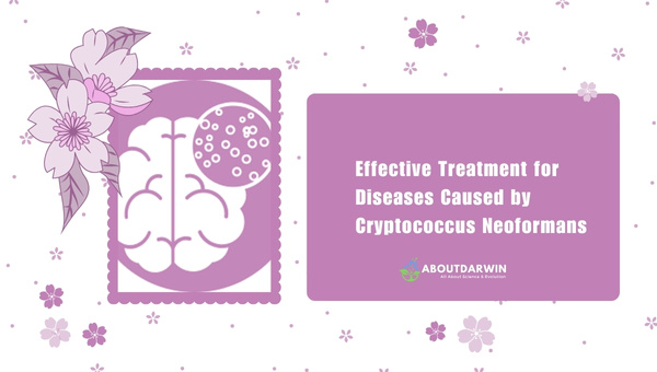 Effective Treatment for Diseases Caused by Cryptococcus Neoformans
