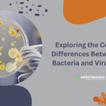 Exploring the Core Differences Between Bacteria and Viruses
