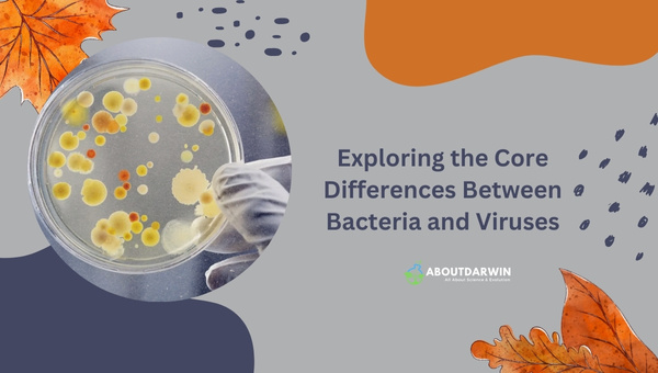 Exploring the Core Differences Between Bacteria and Viruses