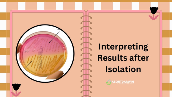 Interpreting Results after Isolation