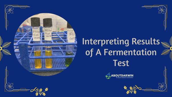 Interpreting Results of A Fermentation Test