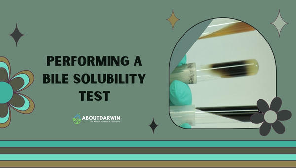 Performing a Bile Solubility Test