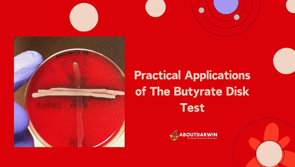 Practical Applications of The Butyrate Disk Test