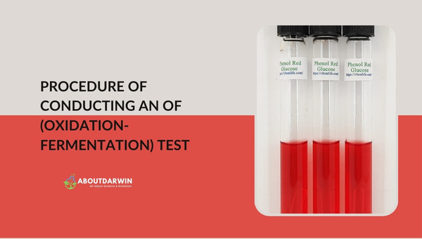 Procedure of Conducting an OF Test