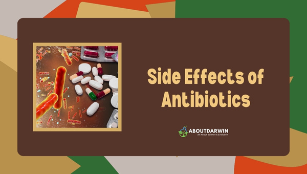 Side Effects of Antibiotics