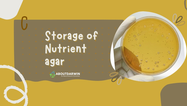 Storage of Nutrient agar