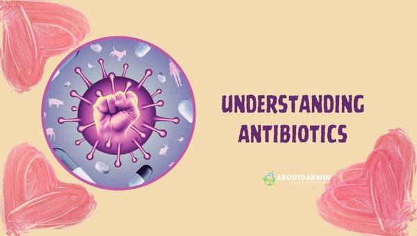 Understanding Antibiotics