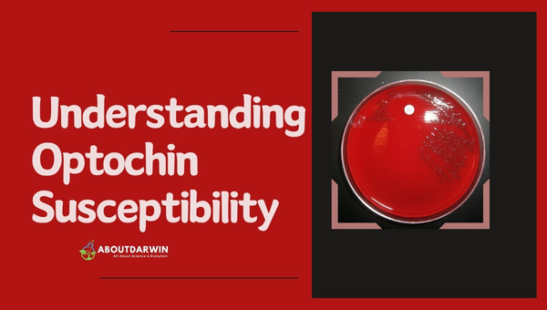 Understanding Optochin Susceptibility