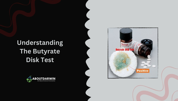 Understanding The Butyrate Disk Test