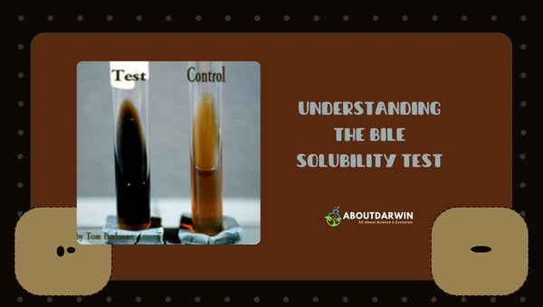 Understanding the Bile Solubility Test