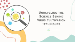 Unraveling the Science Behind Virus Cultivation Techniques