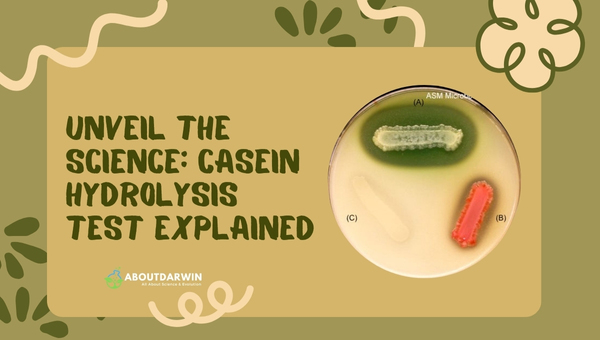 Unveil the Science: Casein Hydrolysis Test Explained