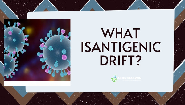 What isAntigenic Drift?