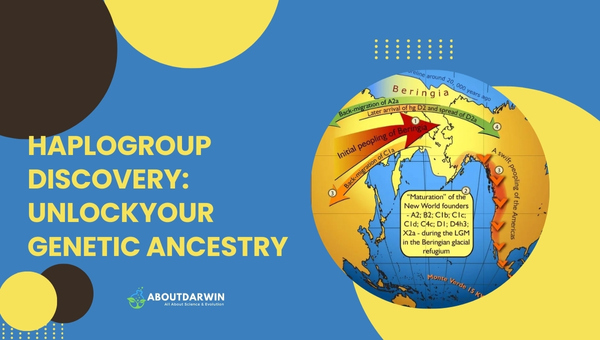 Haplogroup Discovery: Unlock Your Genetic Ancestry