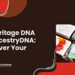 MyHeritage DNA vs AncestryDNA: Discover Your Roots