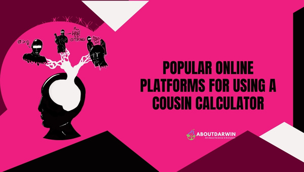 Popular Online Platforms for Using A Cousin Calculator