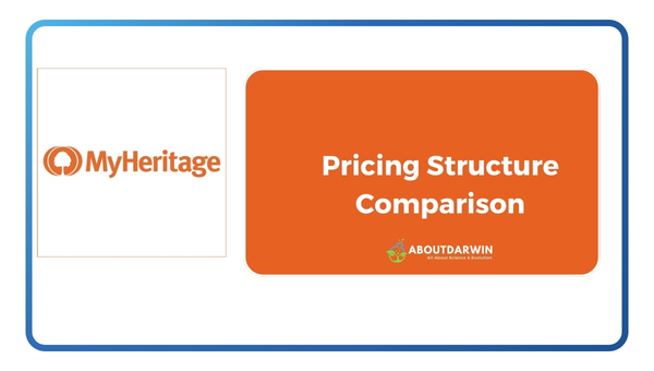 Pricing Structure Comparison