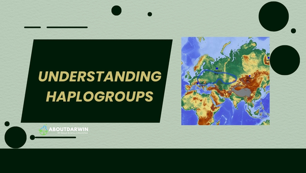 Understanding Haplogroups
