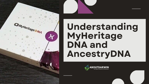 Understanding MyHeritage DNA and AncestryDNA