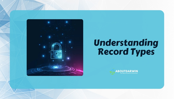 Understanding Record Types
