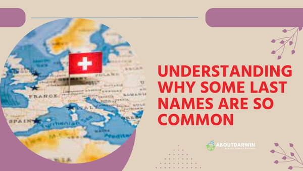 Understanding Why Some Last Names Are So Common