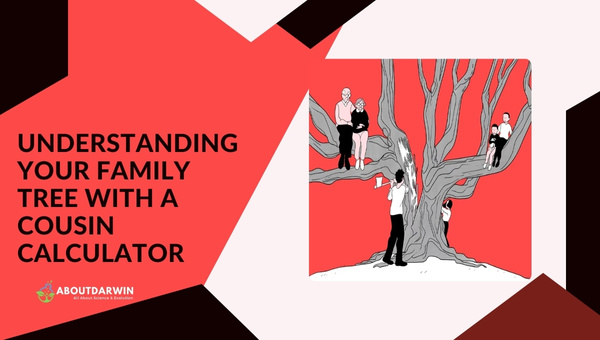 Understanding Your Family Tree with a Cousin Calculator