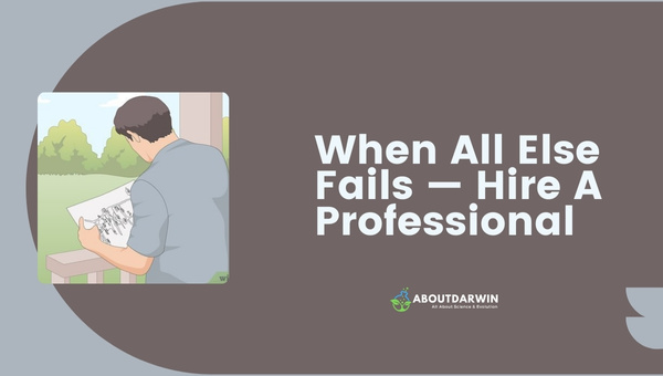 When All Else Fails — Hire A Professional