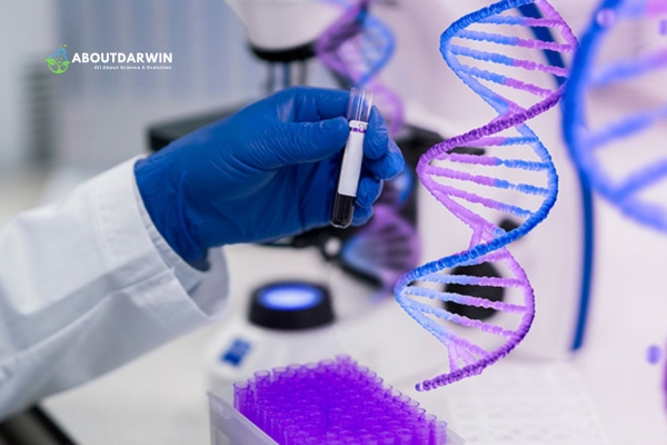 Legal and Ethical Aspects of DNA Testing