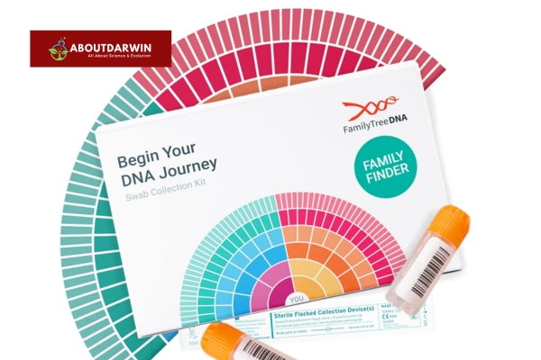 Understanding Your DNA Results